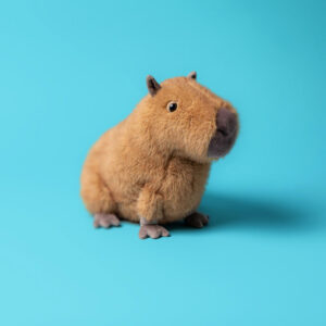 jellycat clyde capybara - Image 4